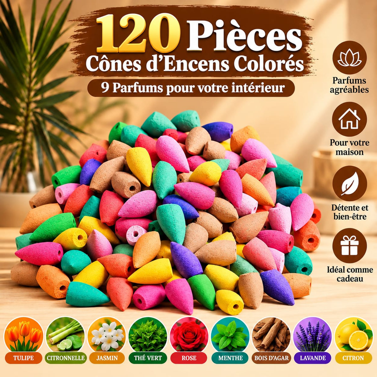 Cônes d'Encens à Reflux – Coffret 200 Pièces, 9 Parfums Colorés